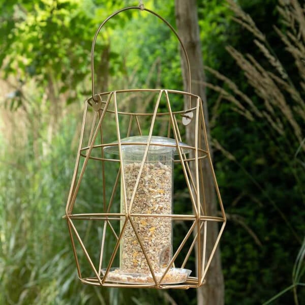 gardman aura bird feeder