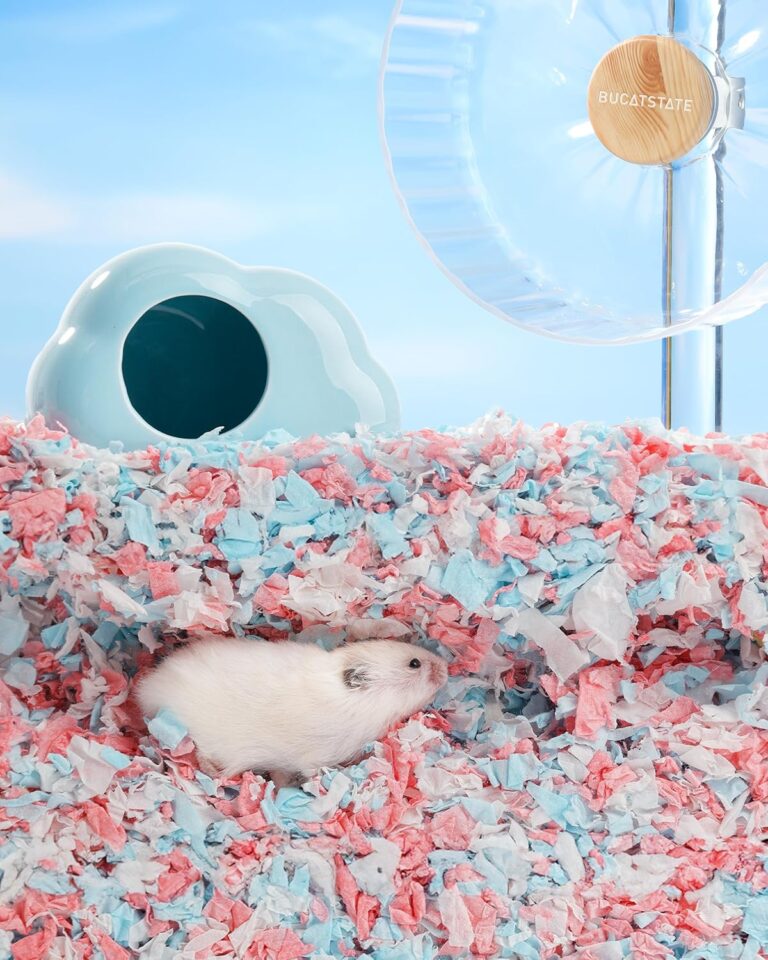 hamster bedding